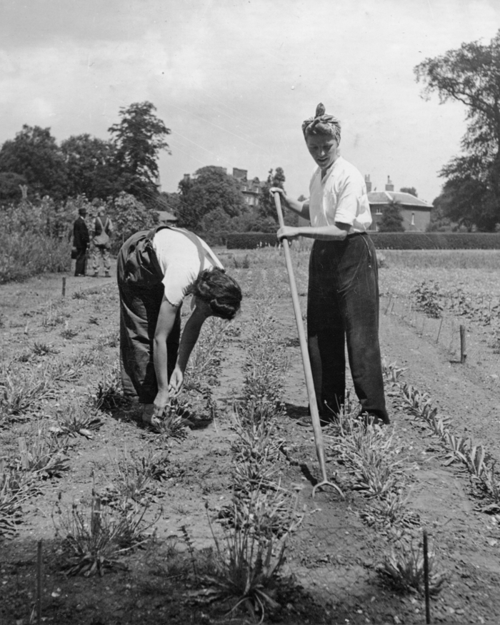 Archives and History of the Kew Guild | Kew Guild