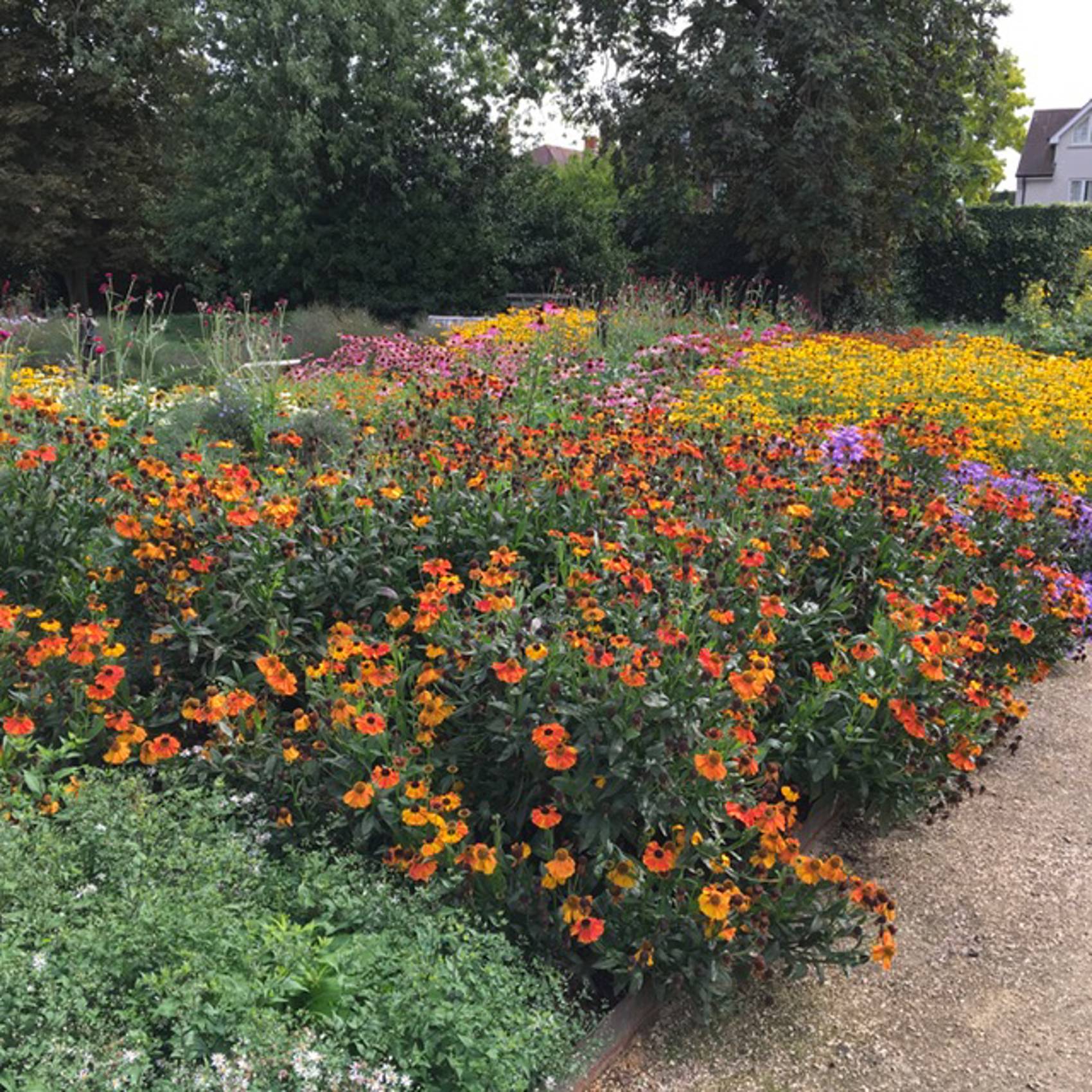 Great Pagoda and Agius Evolution Garden | Kew Guild